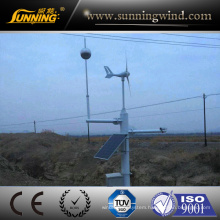 300W Mini Monitoring System Power Supply Wind Generator Good Price